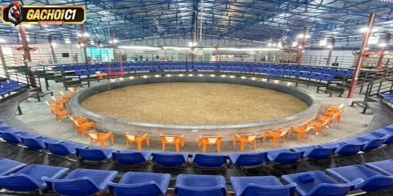 Xem đá gà 67 trực tuyến tốc độ cao